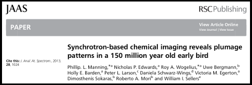 Paper - Synchrotron-based chemical imaging reveals plumage patterns in 150 million year old early bird